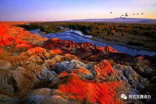 新疆五彩滩爆料案件最新,揭秘神秘案件背后的真相与谜团