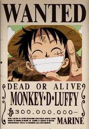 路飞赏金爆料视频大全最新,揭秘最新视频大全中的惊险瞬间与精彩片段