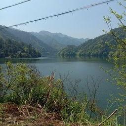 爆料罗村水库最新消息视频,揭秘视频曝光惊人真相