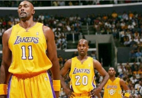 马龙瓦妮莎最新爆料,揭秘爱情背后的真相与挑战