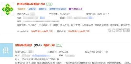 二八最新爆料,揭秘行业巨头背后的惊人内幕